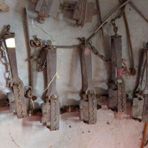 Rabbit Traps Wire and Lanes x 7